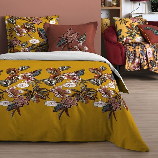 Acheter 😍 Lovely Casa Housse De Couette 260×240 Curiosity + 2 Taies Coton 57 Fils 🛒 1